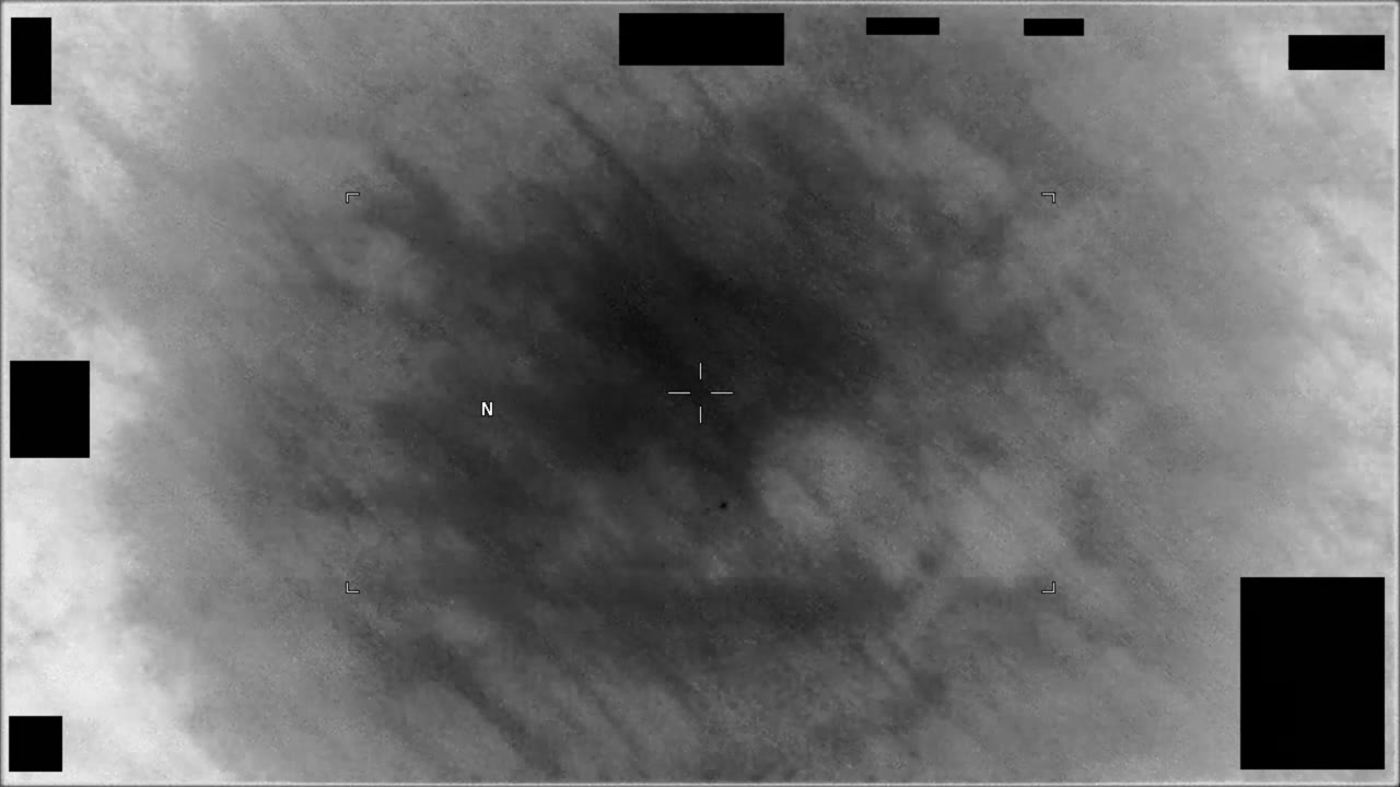 Other sighting