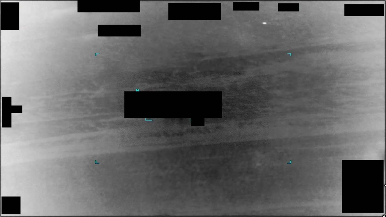 Other sighting