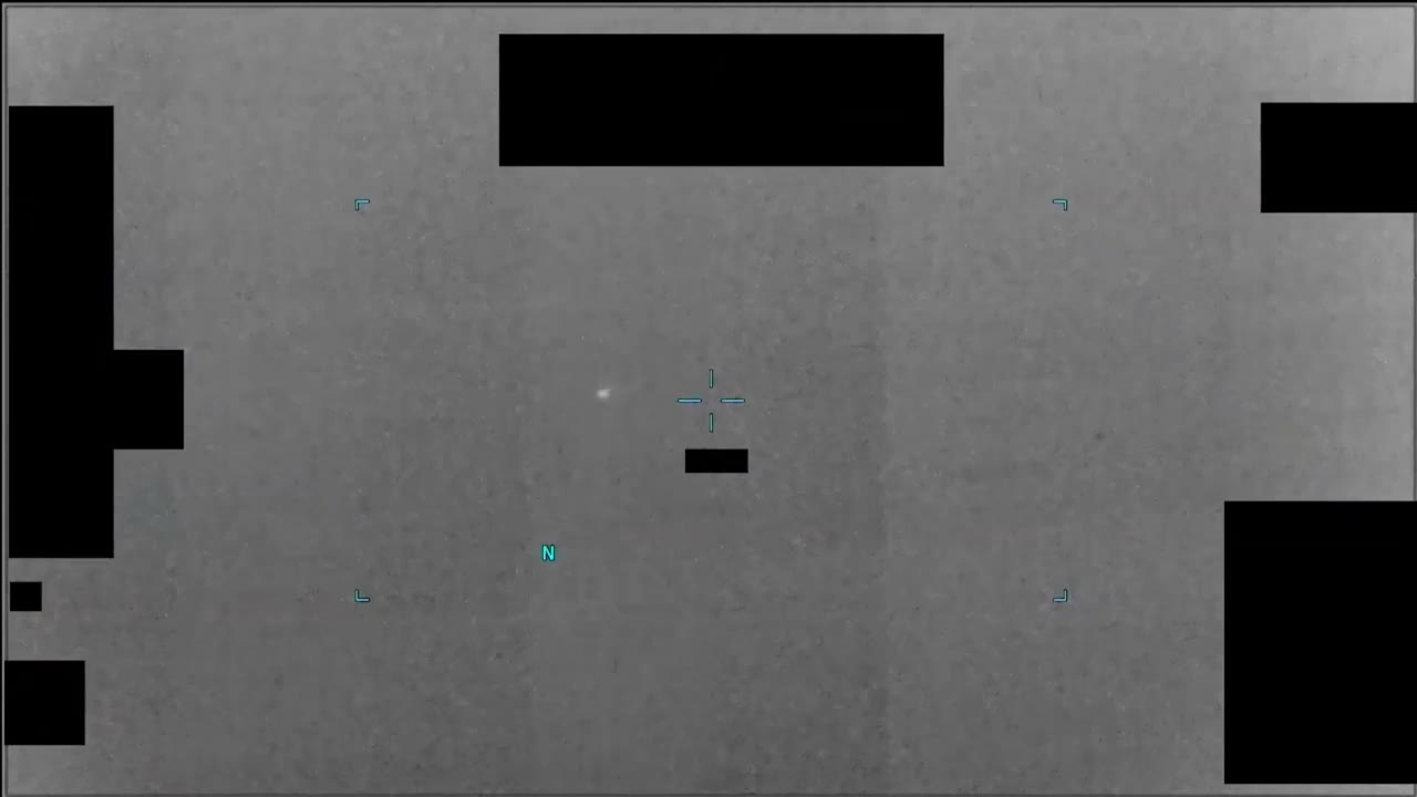 Other sighting