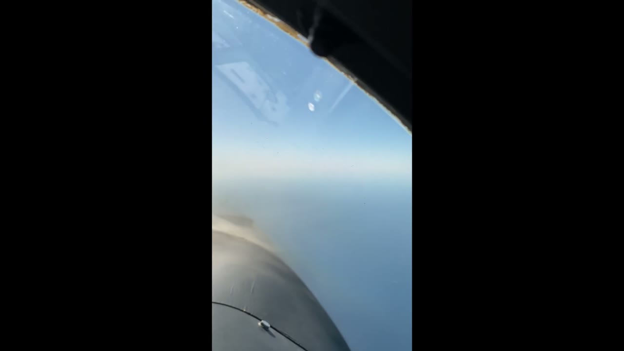 Other sighting