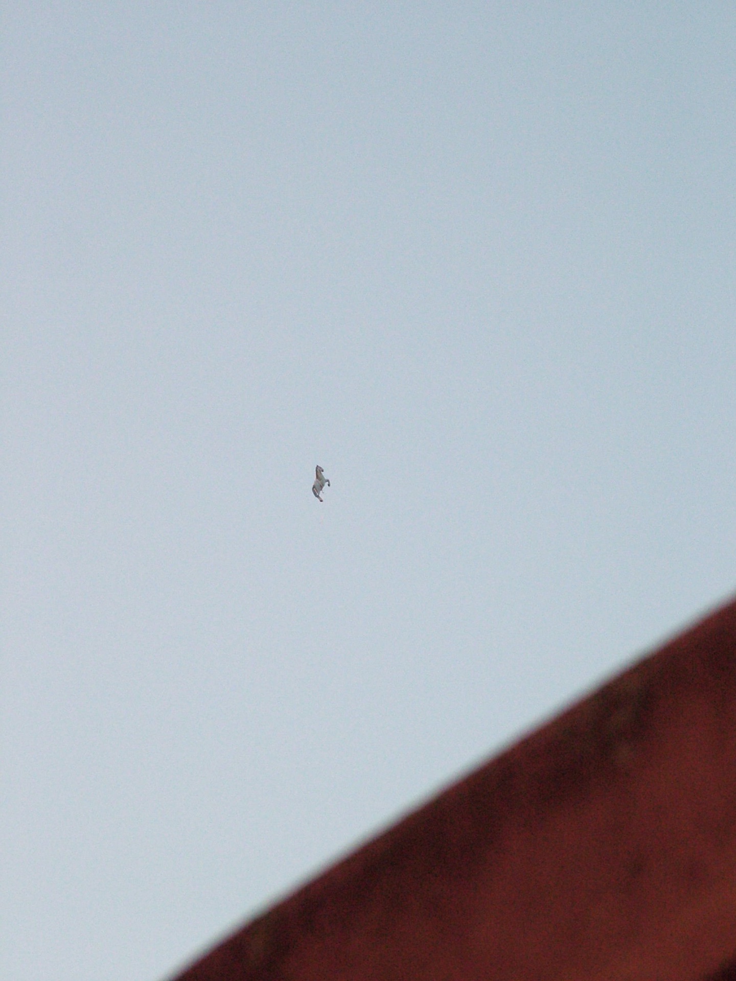 Sighting media 2