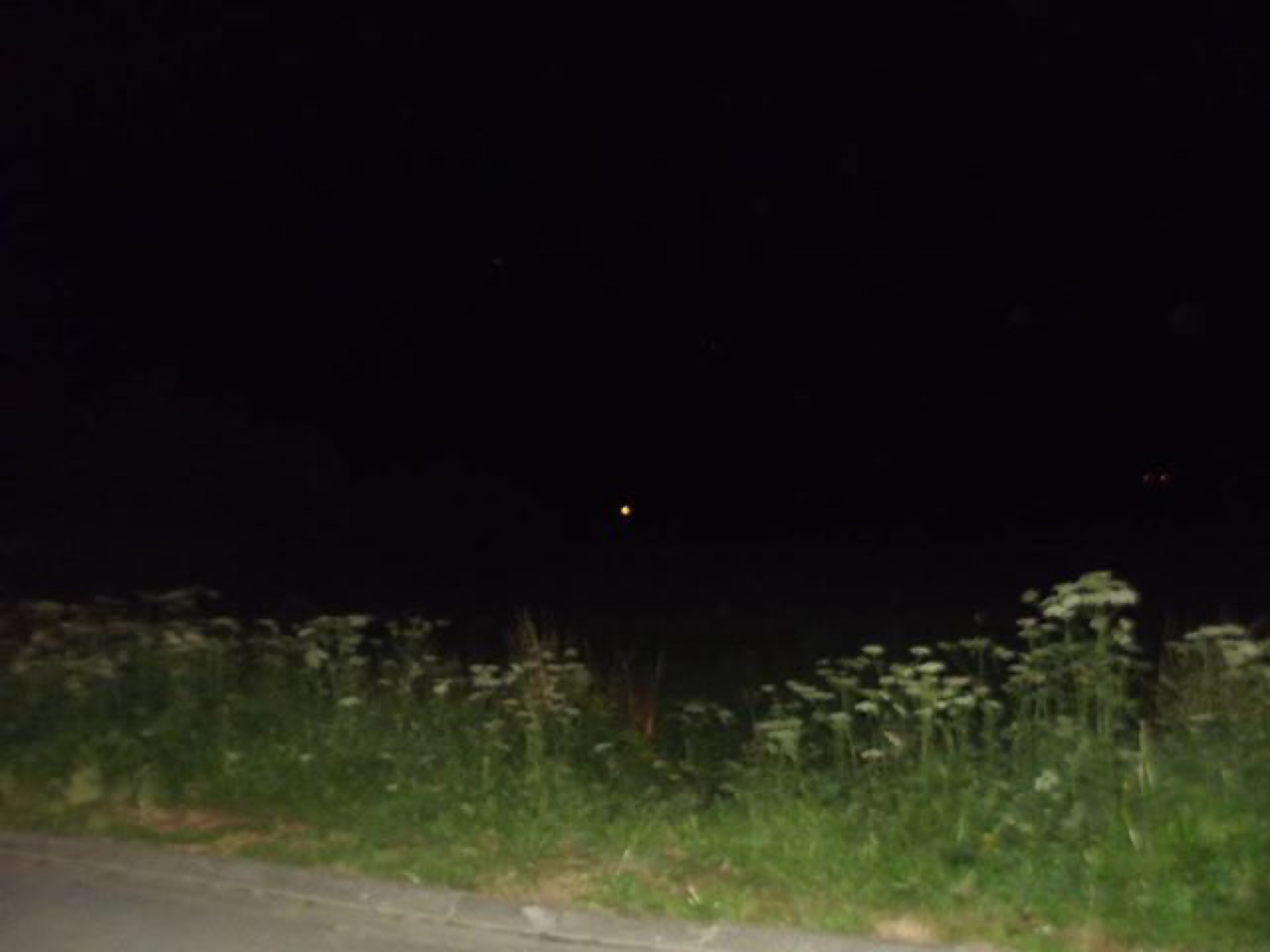 Sighting media 2