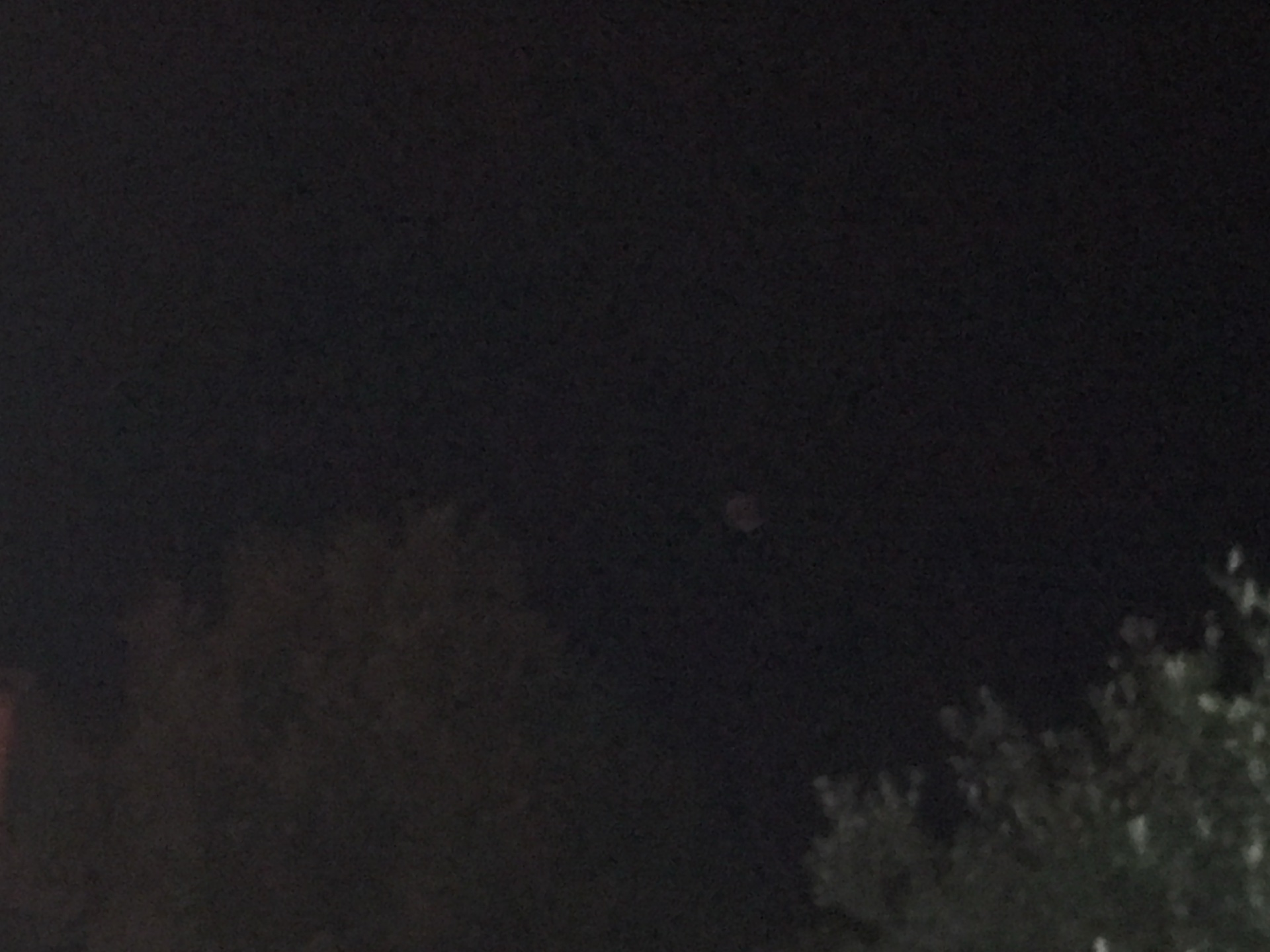 Sighting media 2