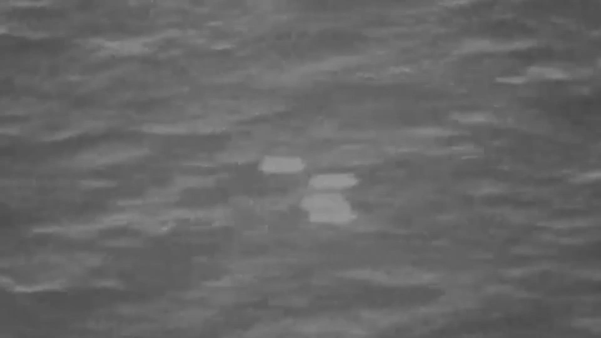 Unknown sighting